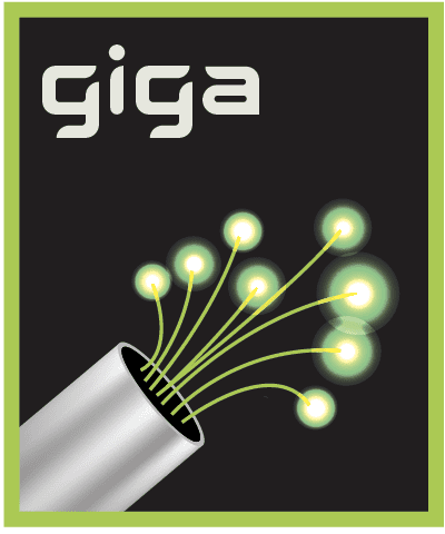 Giga industry membership level